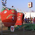 Berry Go Round Carnival Ride - Toronto, Mississauga, Brampton, Hamilton, Ottawa, Ontario
