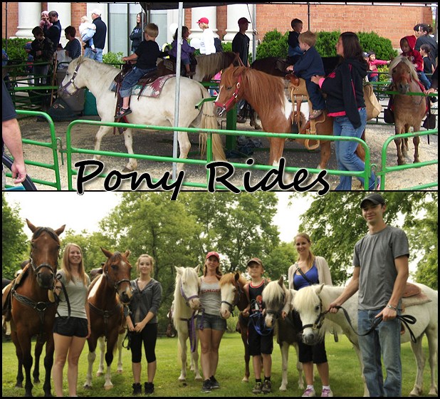 Pony Ride Excitement in Toronto, Hamilton, Kitchener, Brampton Ontario